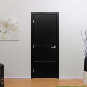 Modern Interior Door HG-008 Black Ash & Molding Frame