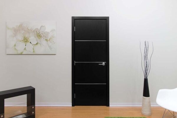 Modern Interior Door HG-008 Black Ash & Molding Frame