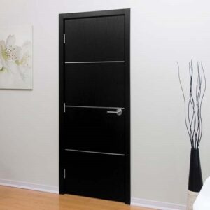 Modern Interior Door HG-008 Black Ash & Molding Frame