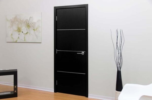 Modern Interior Door HG-008 Black Ash & Molding Frame