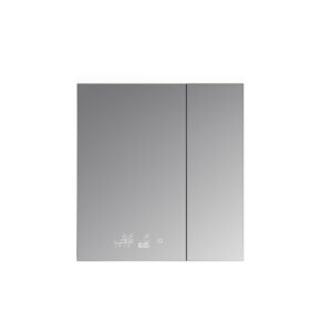 Savera 30 W x 32 H Recessed or Surface-Mount LED Mirror Medicine Cabinet with Defogger