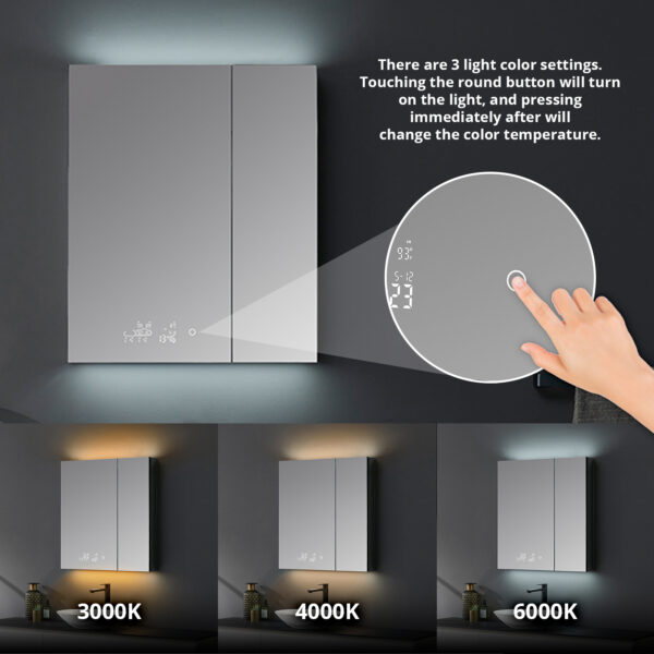 Savera 30 W x 36 H Recessed or Surface-Mount LED Mirror Medicine Cabinet with Defogger