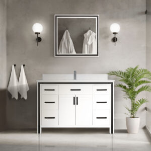 Ziva 48W x 22D White Bath Vanity