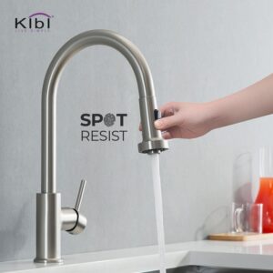 KIBI USA KKF2002 Casa 16 1/2 Inch Single Hole Deck Mount Single Level Pull-Down Kitchen Faucet with Sprayer