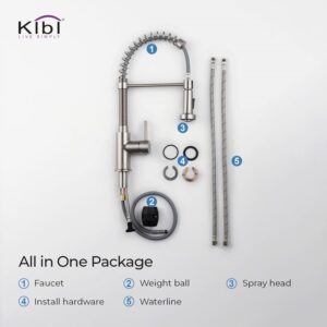 KIBI USA KKF2003 Aurora 17 Inch Single Hole Deck Mount Single Handle High Arc Pull-Down Kitchen Faucet with Sprayer