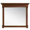 James Martin 147-114-5485 Brookfield 47.25 Inch Mirror in Warm Cherry