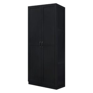 Manhattan Comfort Hopkins Modern  Storage Closet 3.0 in Black - Set of 2