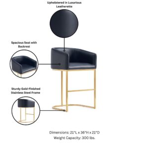 Manhattan Comfort Louvre Mid-Century Modern Leatherette Upholstered Counter Stool  in Black and Titanium Gold- Set of 2