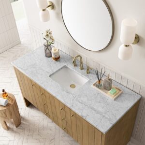 James Martin 435-V60S-LNO-3AF Hudson 60 Inch Light Natural Oak Single Sink Vanity with 3 cm Arctic Fall Top