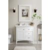 James Martin 527-V36-3WZ Palisades 36 Inch Single Vanity with 3cm White Zeus Quartz Top