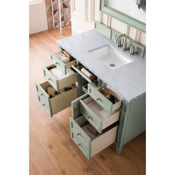 James Martin 650-V48-SGR-3AF Brittany 48 Inch Sage Green Single Vanity with 3 CM Arctic Fall Solid Surface Top