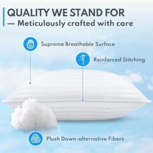 RetailHuntUSA Bed Pillows for Sleeping Queen Size (White), Set of 2 (Copy)