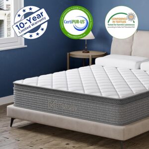 RetailHuntUSA Queen Mattress,10 Inch Gel Memory Foam and Innerspring Hybrid Mattress in a Box with Individual Pocket Spring