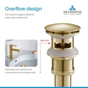 Blossom BA02 001 2 5/8 Inch Brass Pop-up with Overflow