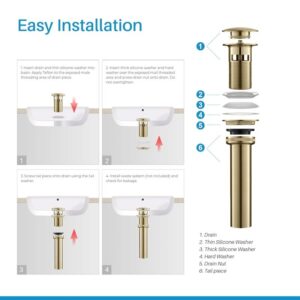 Blossom BA02 001 2 5/8 Inch Brass Pop-up with Overflow