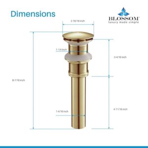 Blossom BA02 002 2 5/8 Inch Brass Pop-up with No Overflow