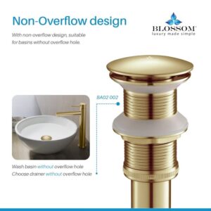 Blossom BA02 002 2 5/8 Inch Brass Pop-up with No Overflow