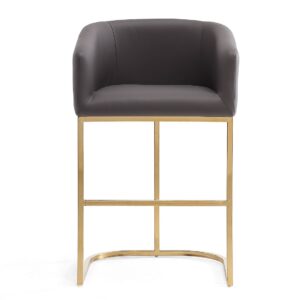 Manhattan Comfort Louvre 36 in. Grey and Titanium Gold Stainless Steel Counter Height Bar Stool