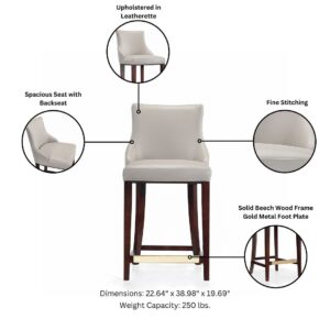 Manhattan Comfort Modern Shubert Counter Stool Upholstered in Light Grey Leatherette with Beech Wood Legs