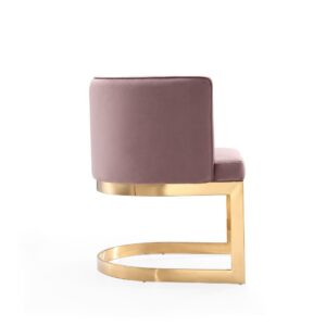 Manhattan Comfort Aura Blush and Polished Brass Velvet Dining Chair