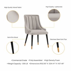 Manhattan Comfort Modern Eda Velvet and Leatherette Dining Chair in Grey