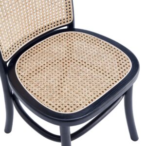 Manhattan Comfort Paragon Dining Chair 2.0 in Black and Cane - Set of 2