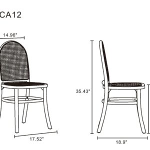 Manhattan Comfort Paragon Dining Chair 2.0 in Nature and Cane - Set of 2