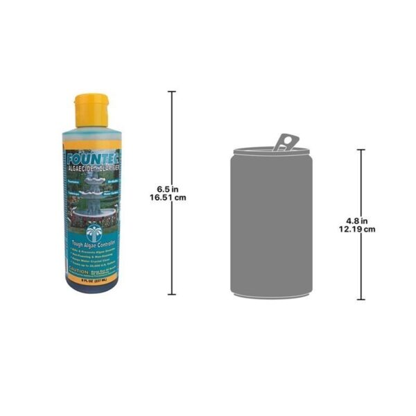 Design Toscano EC50008 2 Inch Fountain Algaecide Clarifier