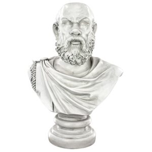 Design Toscano EU1010 9 Inch Socrates Bust Planter