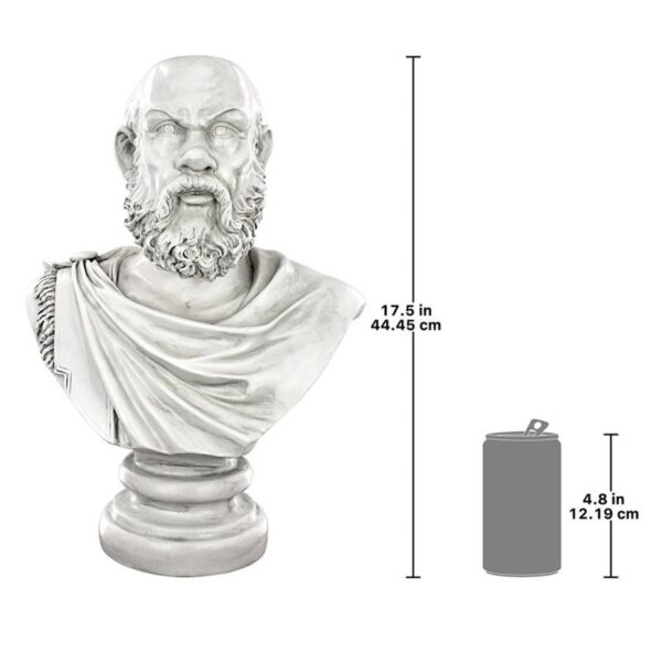 Design Toscano EU1010 9 Inch Socrates Bust Planter