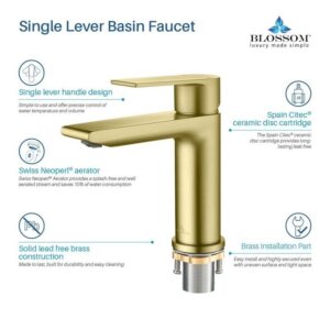 Blossom F01 102 6 1/2 Inch Single Handle Bathroom Faucet