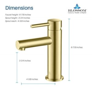 Blossom F01 116 6 7/8 Inch Single Handle Bathroom Faucet