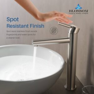 Blossom F01 117 11 7/8 Inch Single Handle Bathroom Faucet