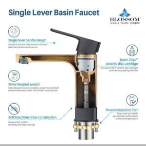 Blossom F01 118 6 1/4 Inch Single Handle Bathroom Faucet