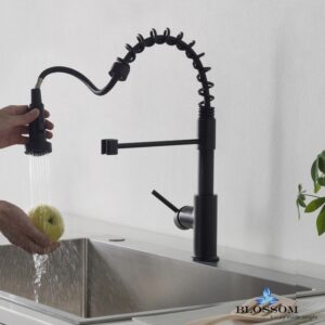 Blossom F01 205 04 Single Handle Pull Down Kitchen Faucet in Matte Black F01 205 04 F0120504