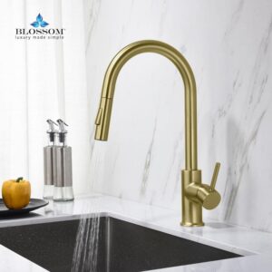 Blossom F01 206 16 1/2 Inch Single Handle Pull Down Kitchen Faucet