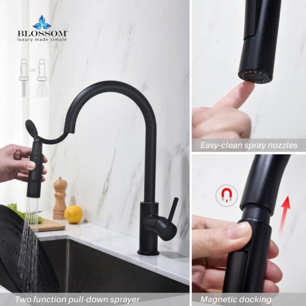 Blossom F01 206 16 1/2 Inch Single Handle Pull Down Kitchen Faucet