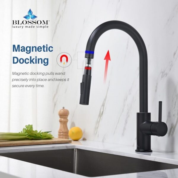 Blossom F01 206 16 1/2 Inch Single Handle Pull Down Kitchen Faucet