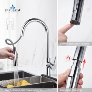 Blossom F01 206 16 1/2 Inch Single Handle Pull Down Kitchen Faucet