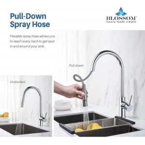 Blossom F01 206 16 1/2 Inch Single Handle Pull Down Kitchen Faucet