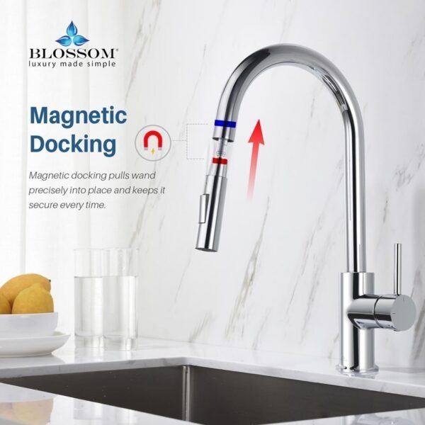 Blossom F01 206 16 1/2 Inch Single Handle Pull Down Kitchen Faucet