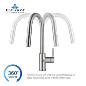 Blossom F01 206 16 1/2 Inch Single Handle Pull Down Kitchen Faucet