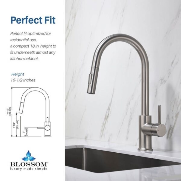 Blossom F01 206 16 1/2 Inch Single Handle Pull Down Kitchen Faucet