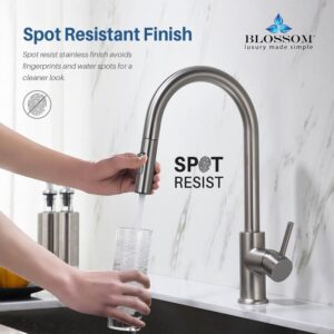 Blossom F01 206 16 1/2 Inch Single Handle Pull Down Kitchen Faucet