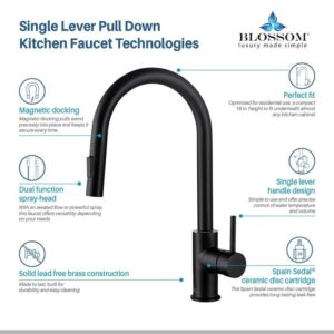 Blossom F01 206 16 1/2 Inch Single Handle Pull Down Kitchen Faucet