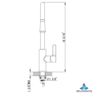 Blossom F01 201 01 Single Handle Pull Down Kitchen Faucet in Chrome