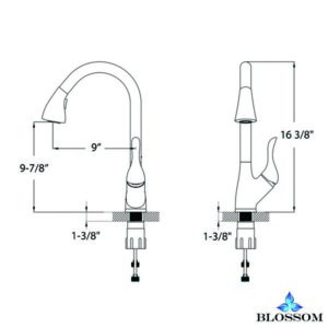 Blossom F01 202 02 Single Handle Pull Down Kitchen Faucet in Brush Nickel