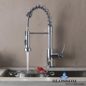 Blossom F01 205 01 Single Handle Pull Down Kitchen Faucet in Chrome