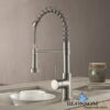 Blossom F01 205 02 Single Handle Pull Down Kitchen Faucet in Brush Nickel