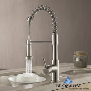 Blossom F01 205 02 Single Handle Pull Down Kitchen Faucet in Brush Nickel